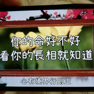 你的命好不好，看你的长相就知道