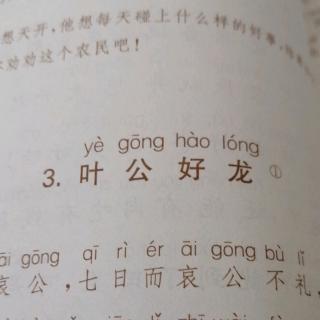 叶公好龙