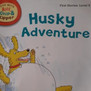 Husky Adventure