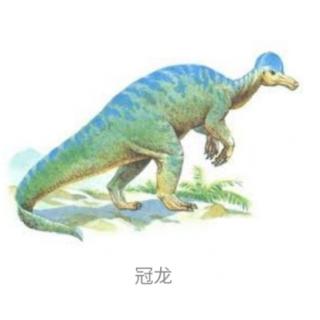 《恐龙帝国》白垩纪 冠龙
