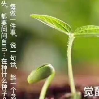 《因果法则》第二章：上部