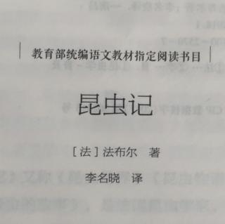 《昆虫记》——蝎子的螯针