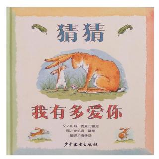 第196期《猜猜我有多爱你》