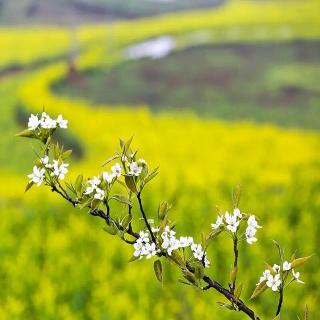 《生活靠自己》——幸福密码（四）