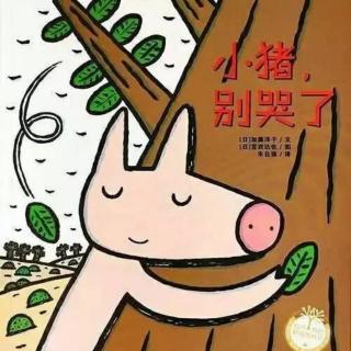 《小猪🐷别哭了》