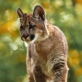 【feb08-tony22】在线收听_tony0492_荔枝