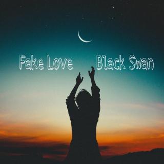 Black Swan × Fake Love（lofi）