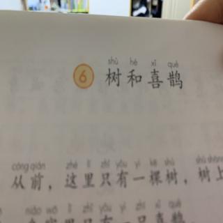 树和喜鹊