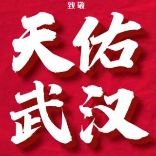 赵达洲《感叹吟》