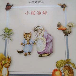 小猫汤姆