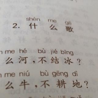 什么歌