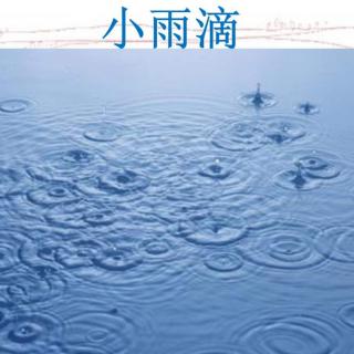 春天的小雨滴滴滴