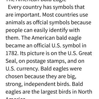 The America Bald Eagle