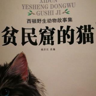 《贫民窟的猫》9.熟悉的气味