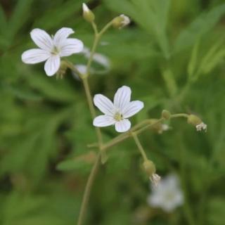 滕文公下第十节