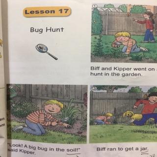 Bug Hunt