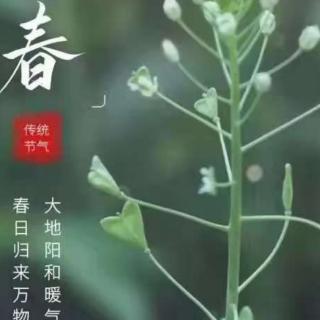 待到春暖花开时 - 傲梅🌽