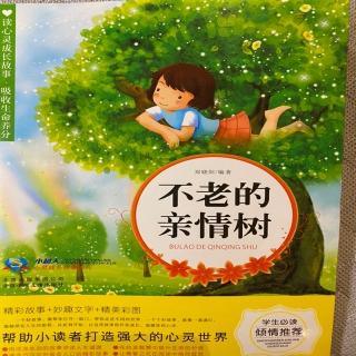 不老的亲情树读完