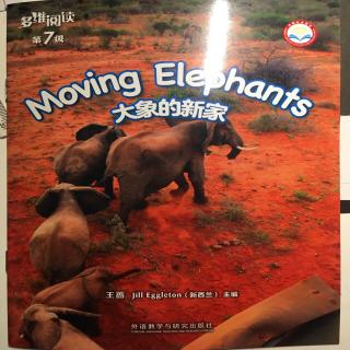 周沁玮Moving Elephants
