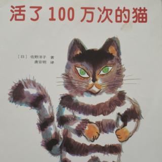 28.活了100万次的猫