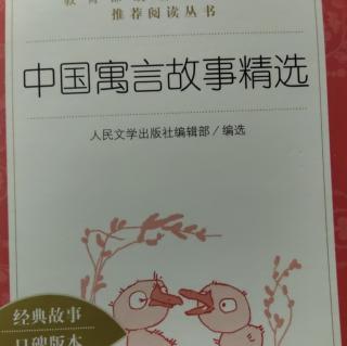 象虎 患在鼠