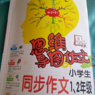 小学生同步作文1、2年级