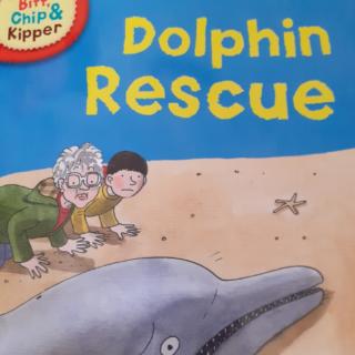Dolphin Rescue Team
