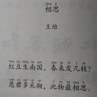 《最好的方法读唐诗》 《相思》小诗背后的故事