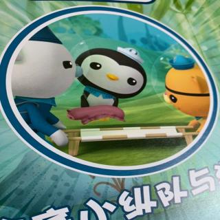 海底小纵队与滑海参