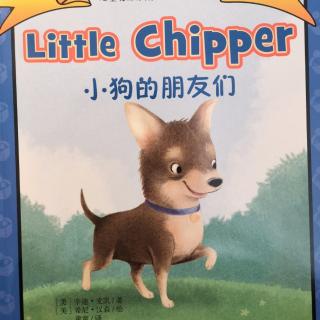 Little Chipper