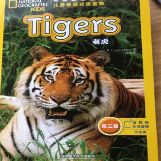 Tigers in trouble /helping tigers