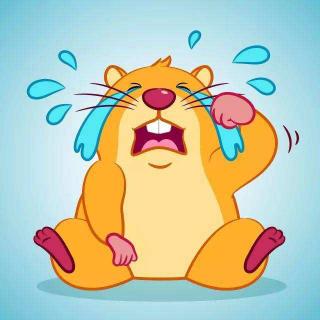 小鼹鼠成了小眼镜七田阳光绘本馆