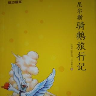 尼尔斯骑鹅旅行记