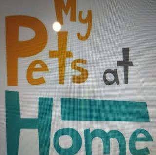 my pets at home