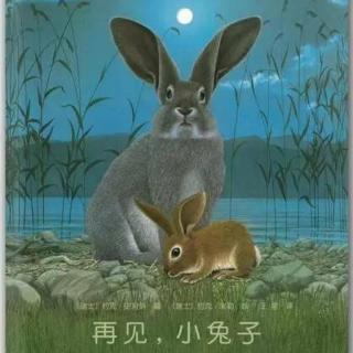 园长妈妈晚安故事《再见，小兔子》上