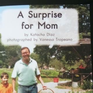 A  SurPrise  for  Mom