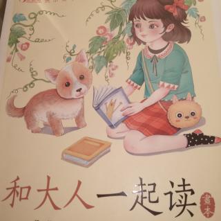 真花和假花。