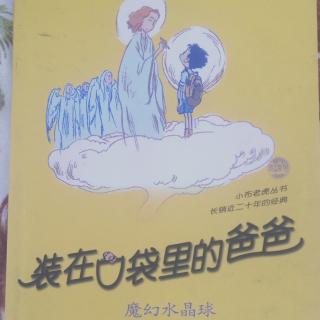 《装在口袋里的爸爸》十三、制服劫机分子