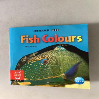 Fish Colours