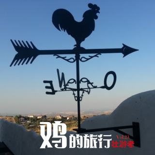 Vol.23 |腹地|鸡的旅行-在罗马、在秘鲁解酒、在美国治病