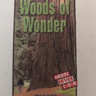 Woods of Wonder