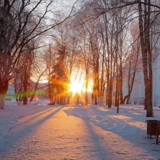 古诗三首《春望》《沁园春 雪》《逢雪宿芙蓉山主人》