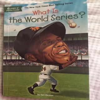 What Is The World Series Chapter4