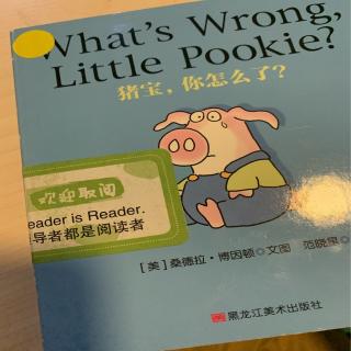 what's wrong little pookie？-猪宝贝怎么了呀
