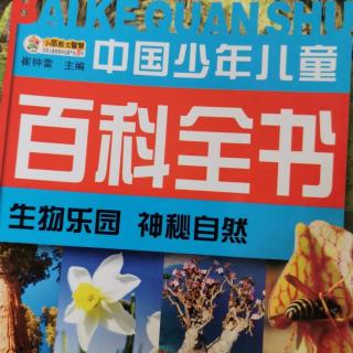中国少年儿童百科全书—雪花
