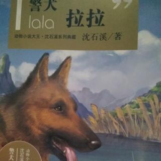 警犬拉拉147～150