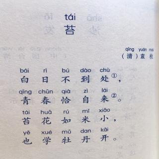 袁牧的《苔》—蒋和廷