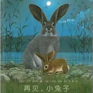 园长妈妈晚安故事《再见，小兔子》中