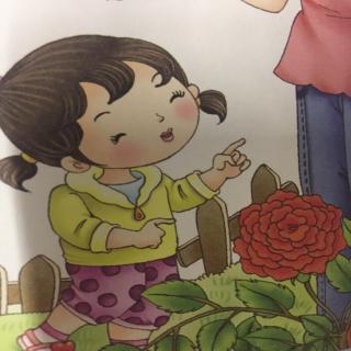 幼儿百科：植物生长要吃什么？