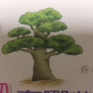 幼儿百科：植物有哪些种类？